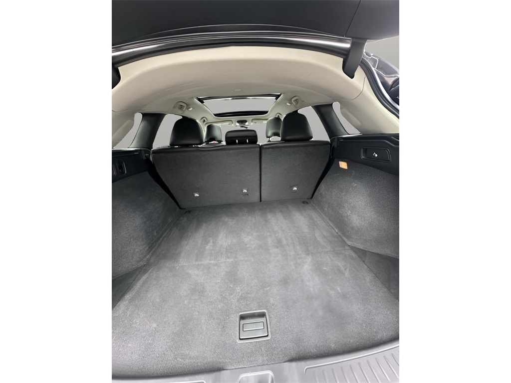 2019 Infiniti QX50 Essential photo 11