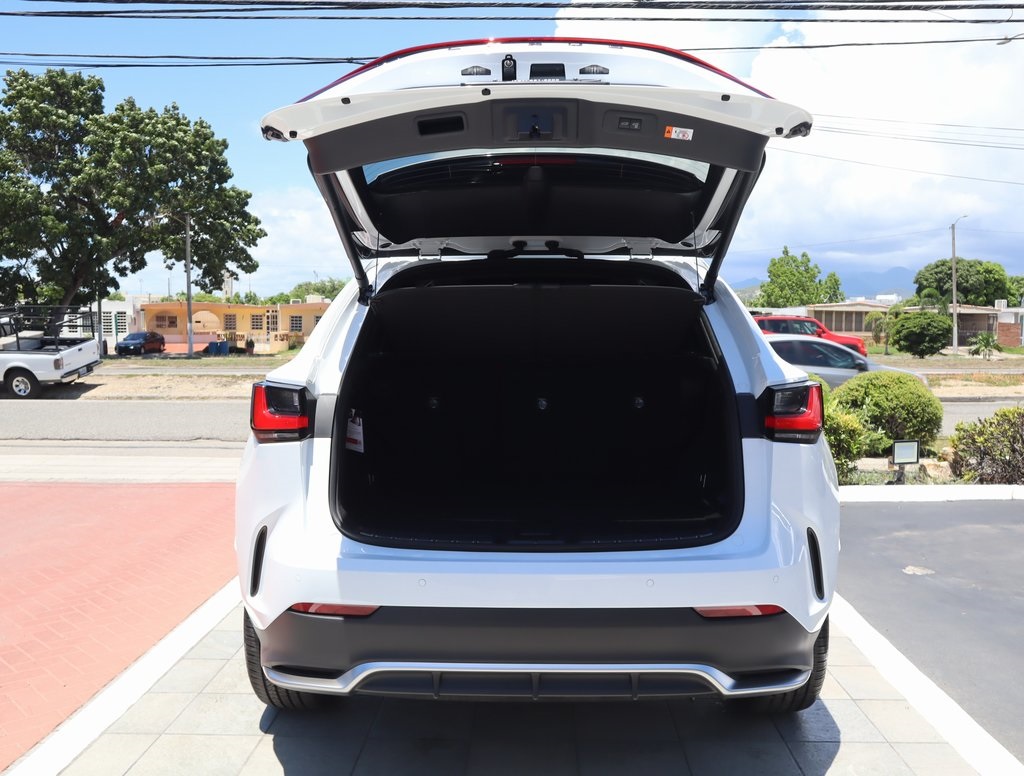 2025 Lexus NX 350 F SPORT Handling AWD photo 19