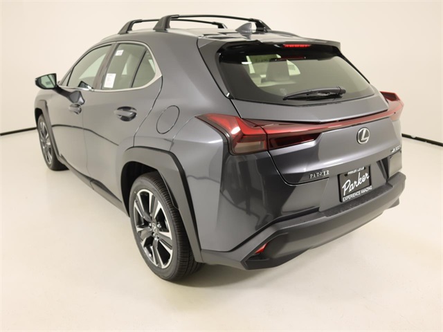 2025 Lexus UX photo 2