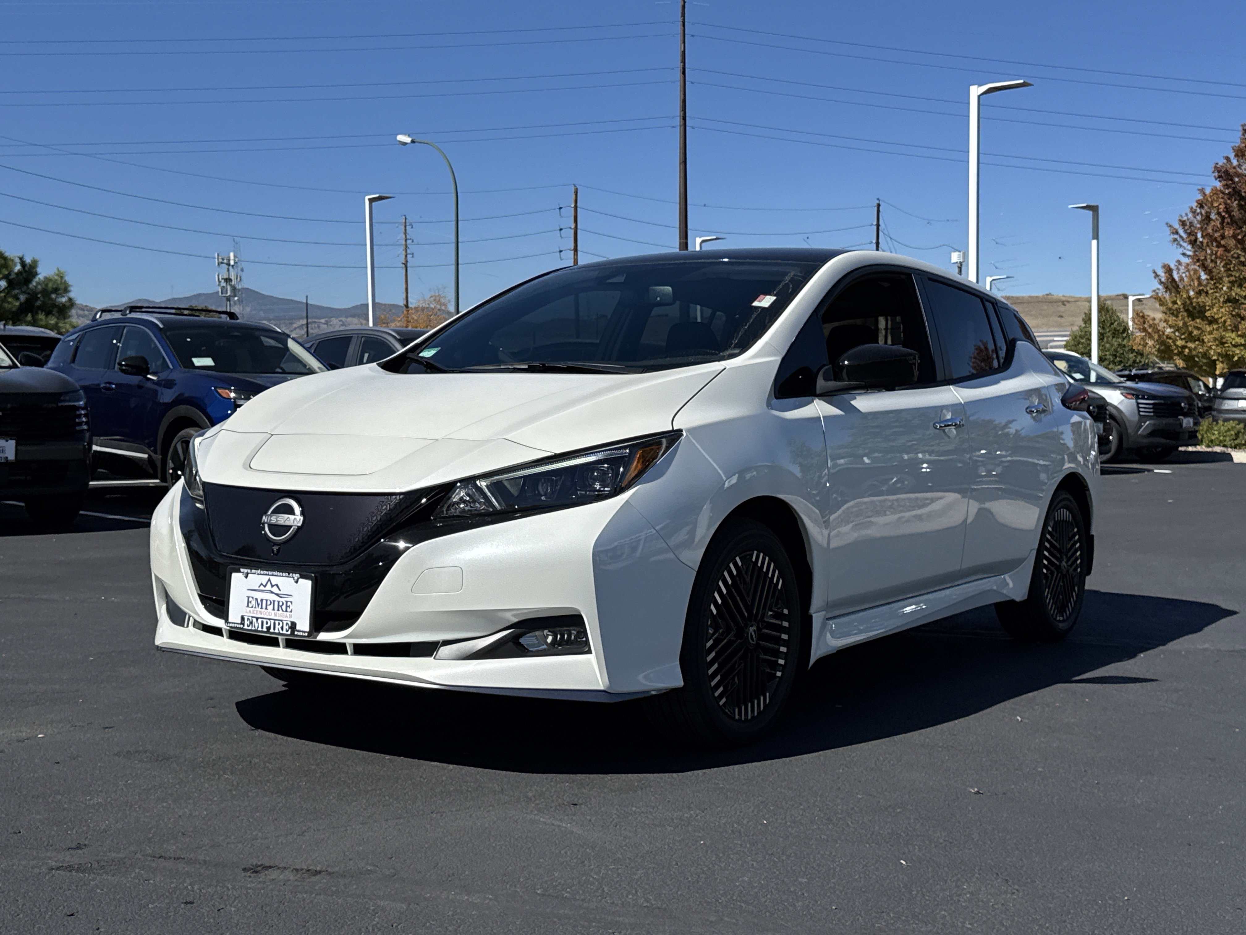 2025 Nissan Leaf SV Plus photo 3