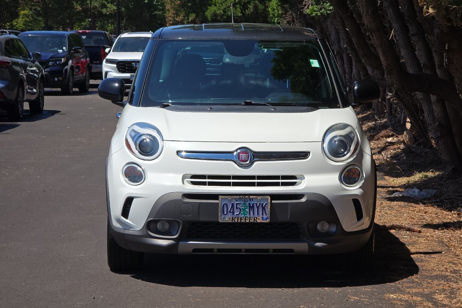 2015 Fiat 500L Trekking photo 8