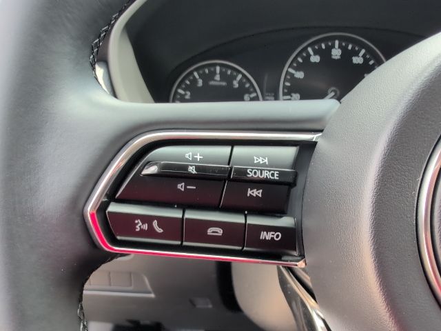 2024 Mazda CX-90 3.3 Turbo Preferred photo 19
