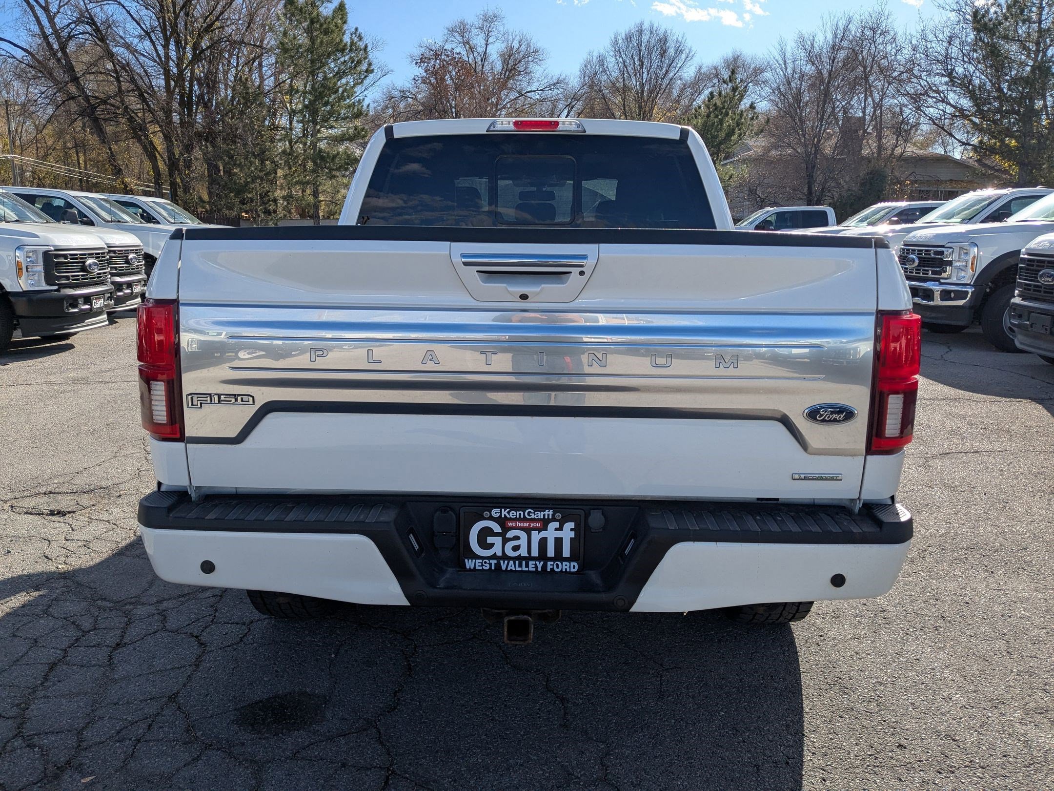 2020 Ford F-150 Platinum photo 4