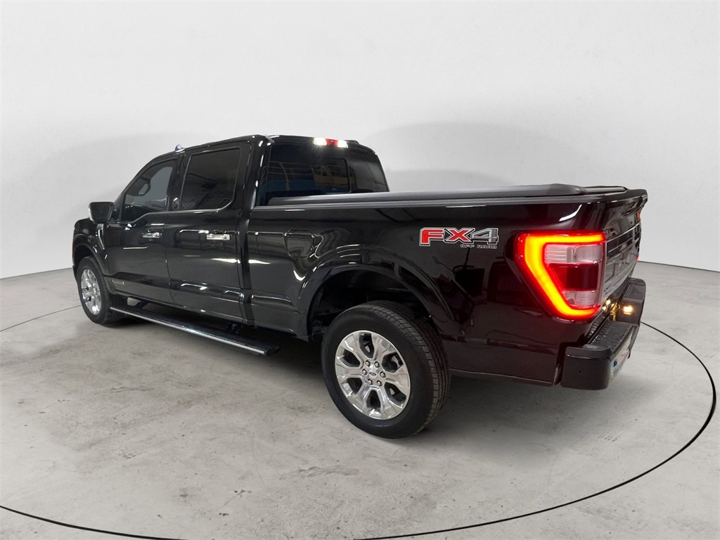 2022 Ford F-150 Platinum photo 3