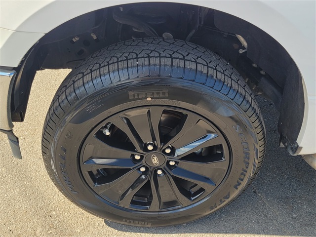 2019 Ford F-150 XL photo 15