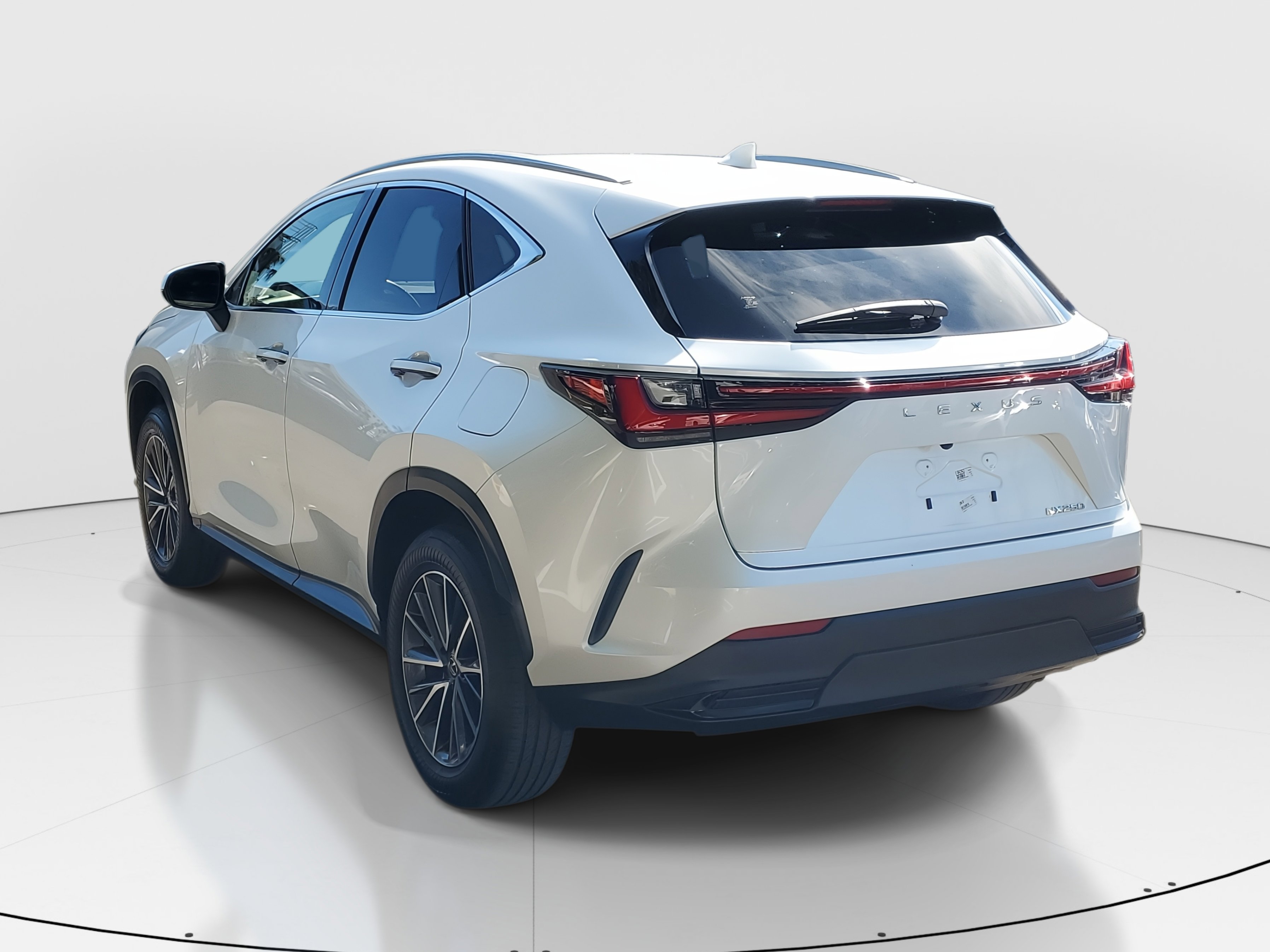 2024 Lexus NX 250 photo 5