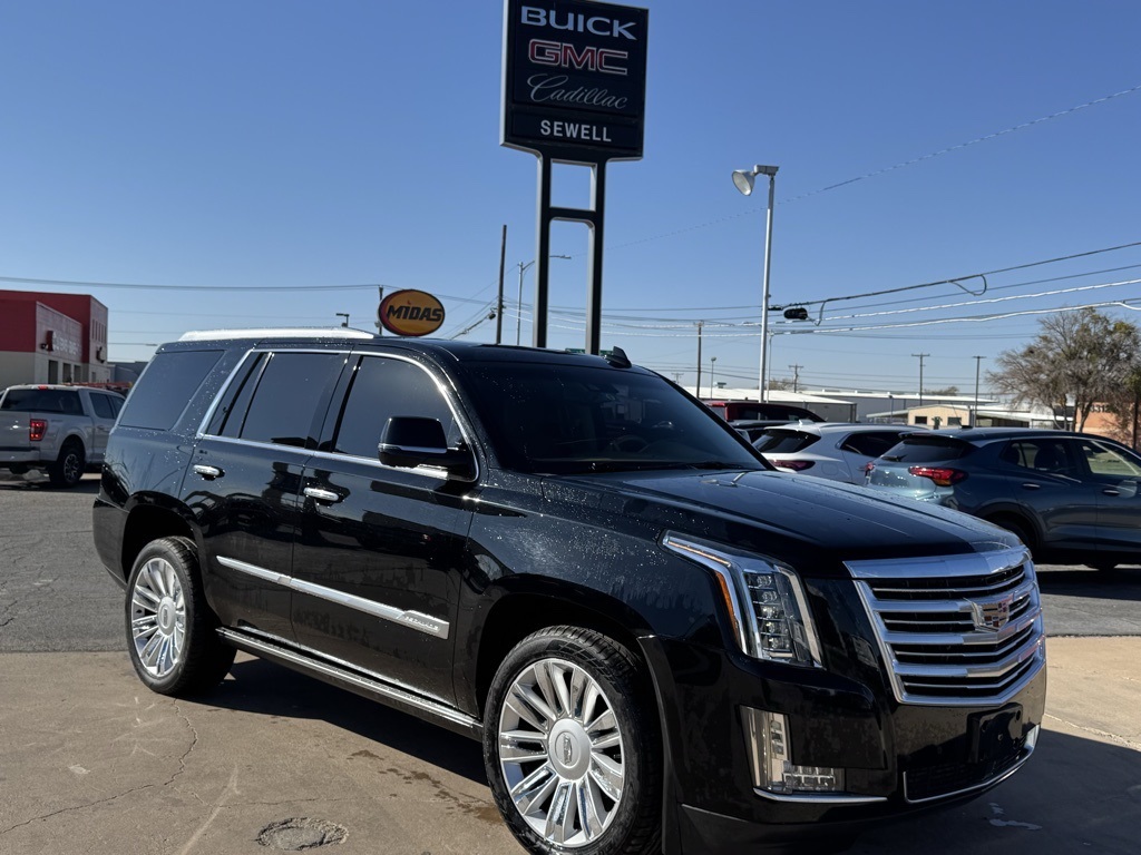 2016 Cadillac Escalade Platinum's photo