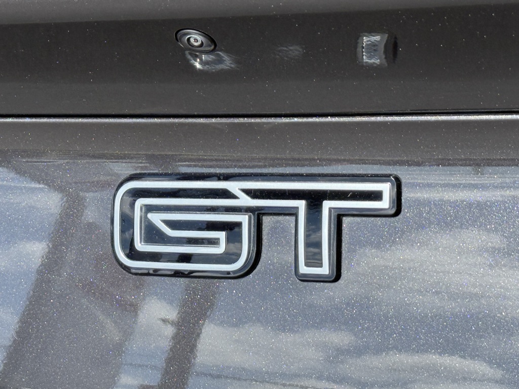 2022 Ford Mustang Mach-E GT photo 8