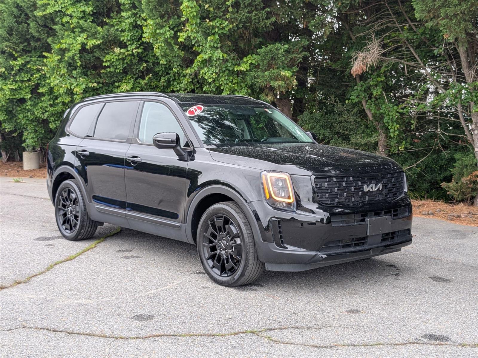 2022 Kia Telluride EX photo 3