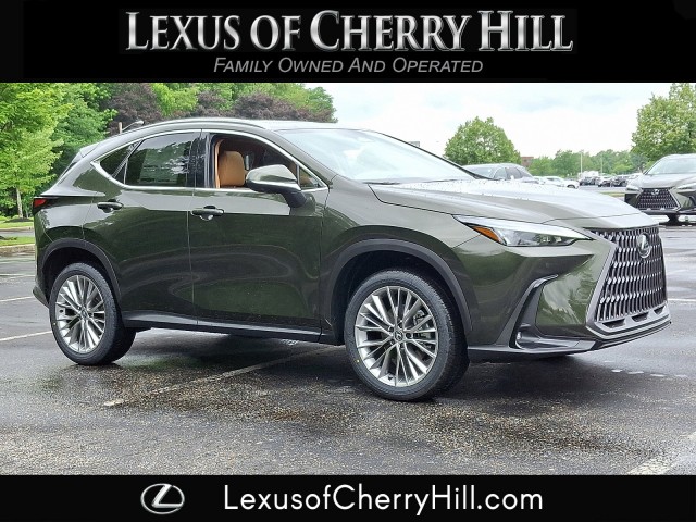 2025 Lexus NX