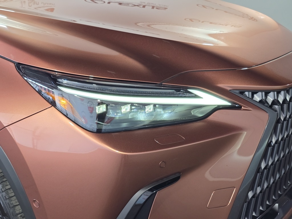2025 Lexus NX 350h Premium AWD photo 5