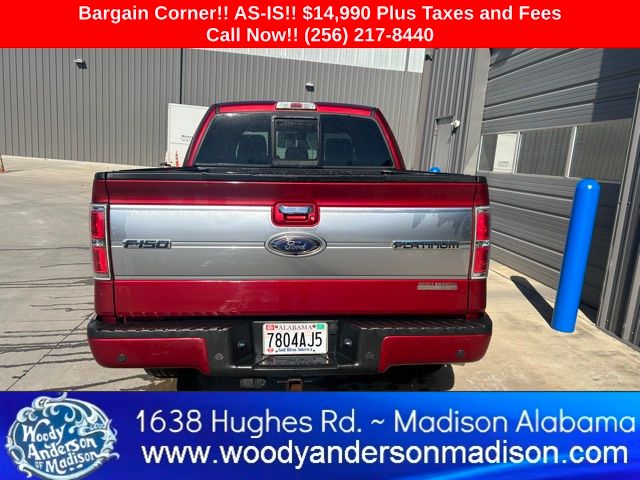 2013 Ford F-150 Platinum photo 3