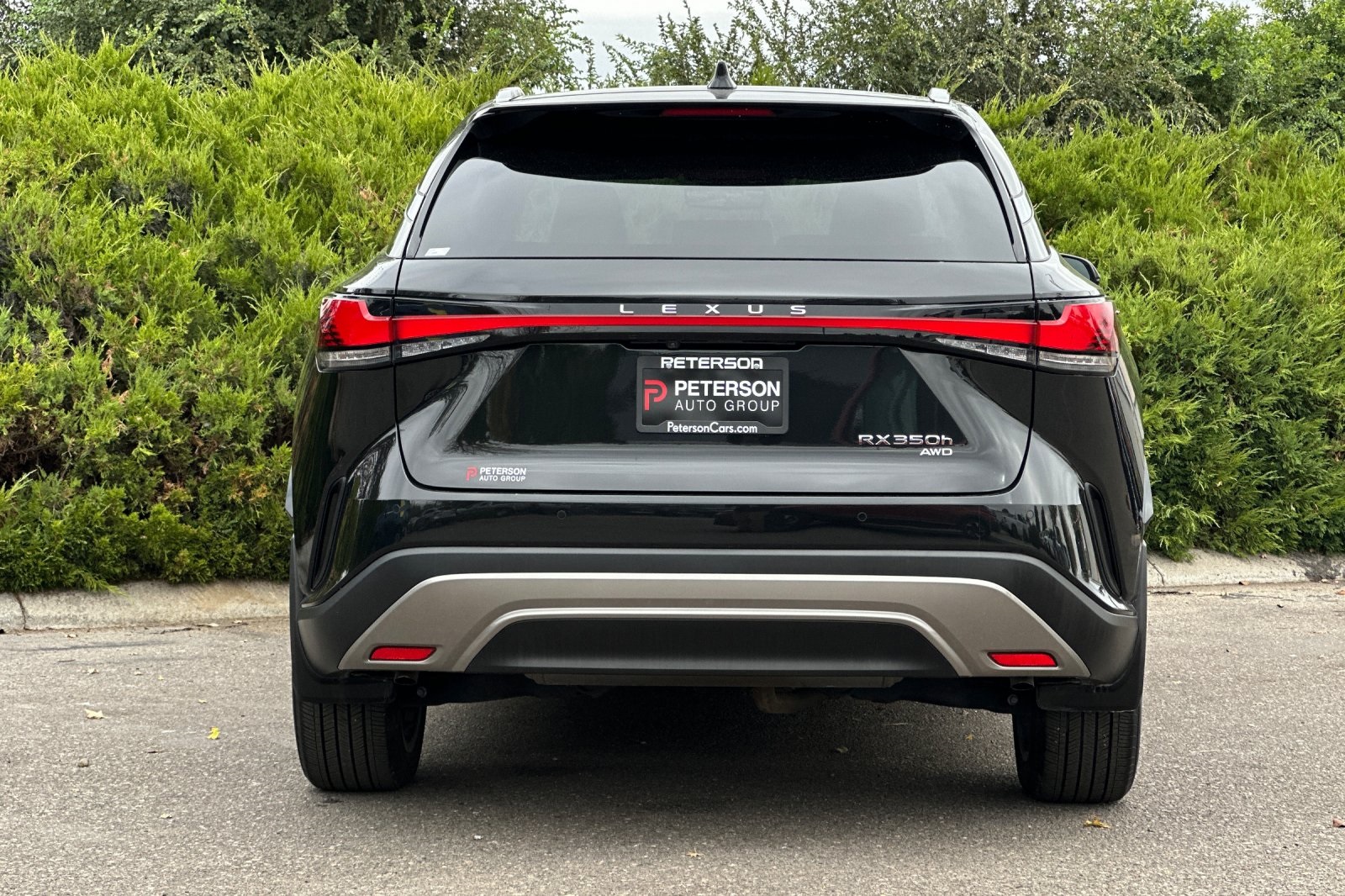 2023 Lexus RX 350h Premium AWD photo 3