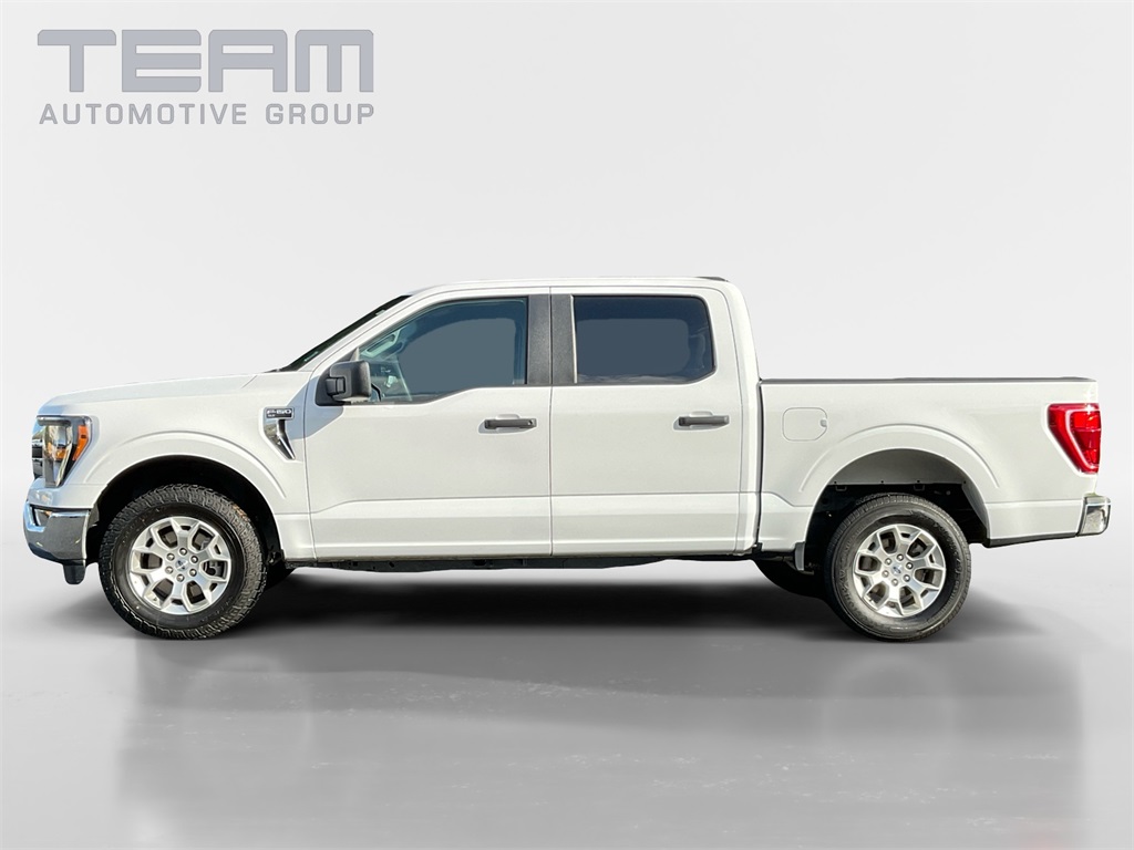 2023 Ford F-150 XLT photo 4