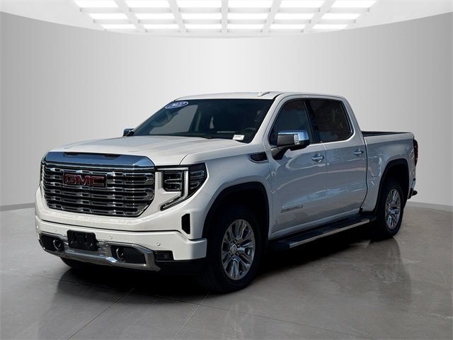 2022 Gmc Sierra 1500 Denali photo 3