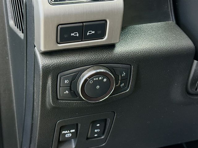 2019 Ford F-150 Platinum photo 8