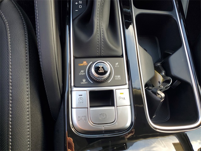 2025 Kia Telluride EX photo 21