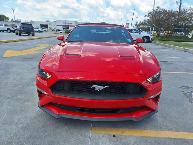 2019 Ford Mustang EcoBoost Premium photo 8