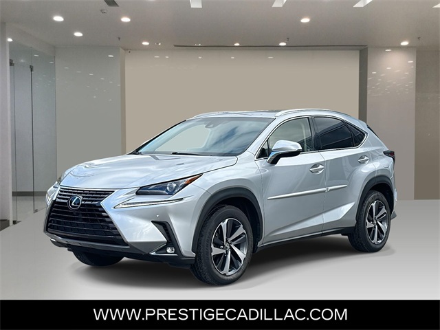 2018 Lexus NX 300's photo