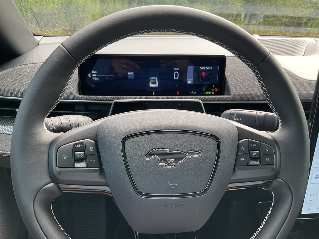 2025 Ford Mustang Mach-E GT photo 7