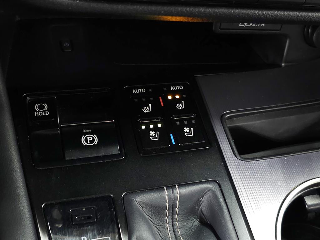 2022 Lexus RX F SPORT photo 30