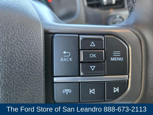 2025 Ford F-150 Lightning photo 25