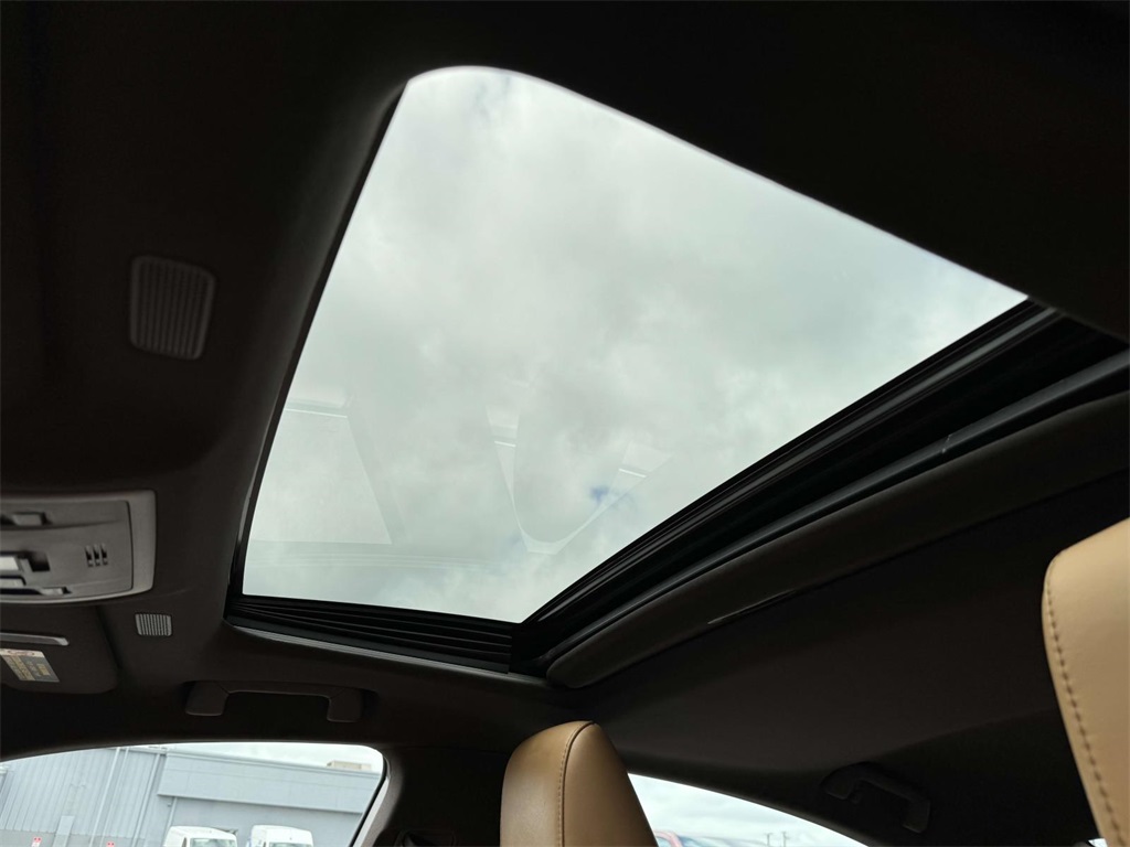 2019 Lexus ES 300h photo 4