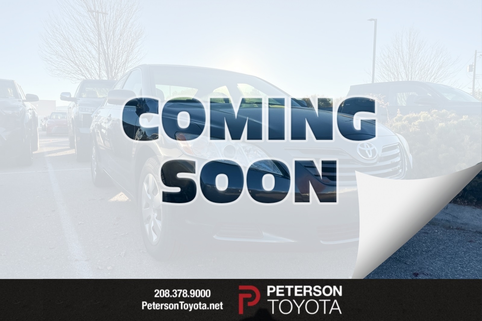 2009 Toyota Camry LE