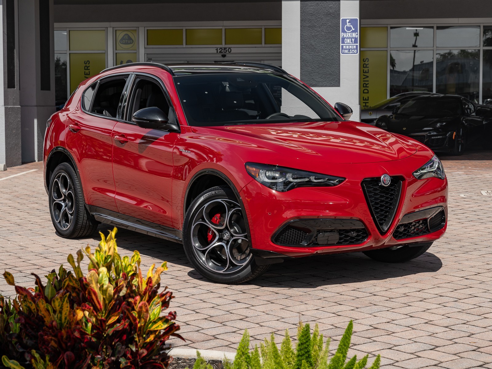 2024 Alfa Romeo Stelvio photo 3