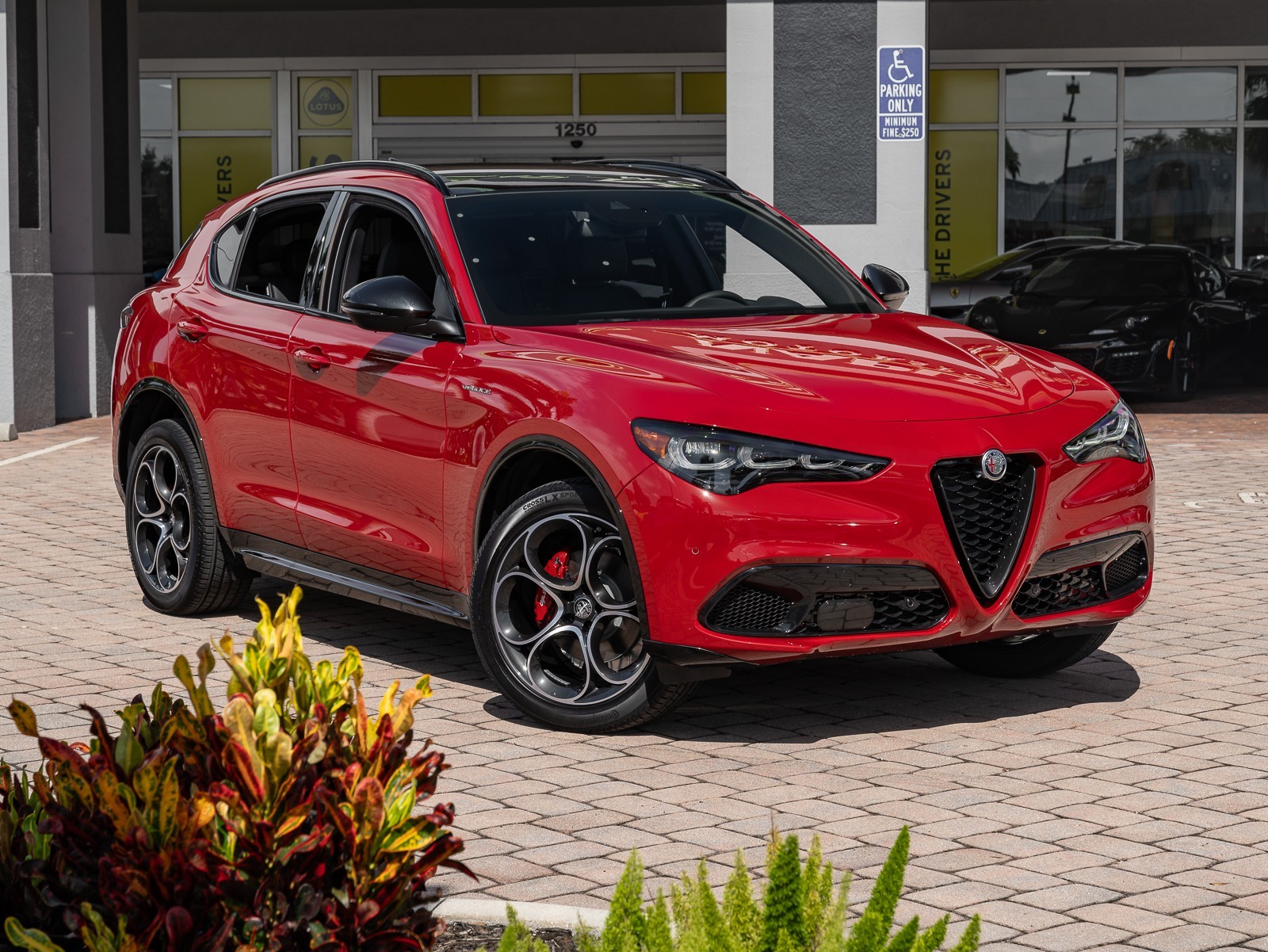 New 2024 Alfa Romeo Stelvio Veloce Sport Utility in Naples #R4-D71132