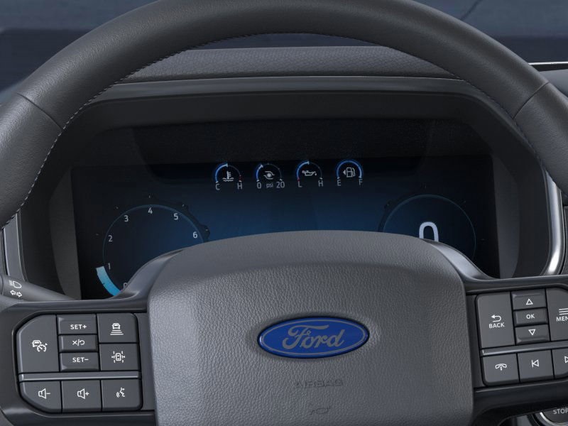 2025 Ford F-150 Platinum photo 11