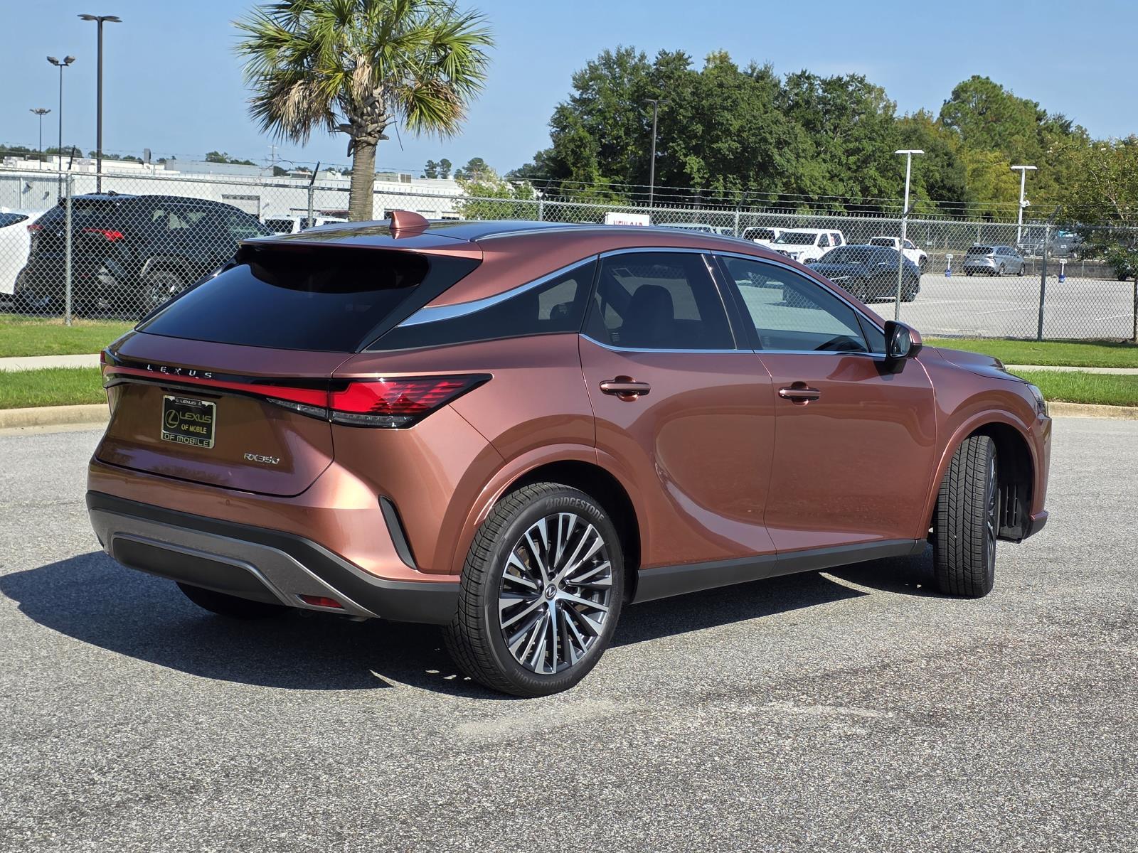 2023 Lexus RX 350 Premium photo 5