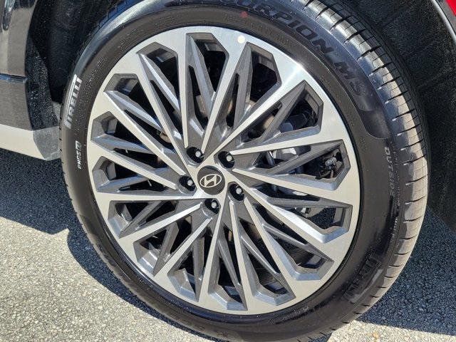 2026 Hyundai Palisade Calligraphy photo 5