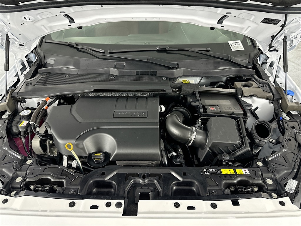 New 2024 White Jaguar P250 image 32