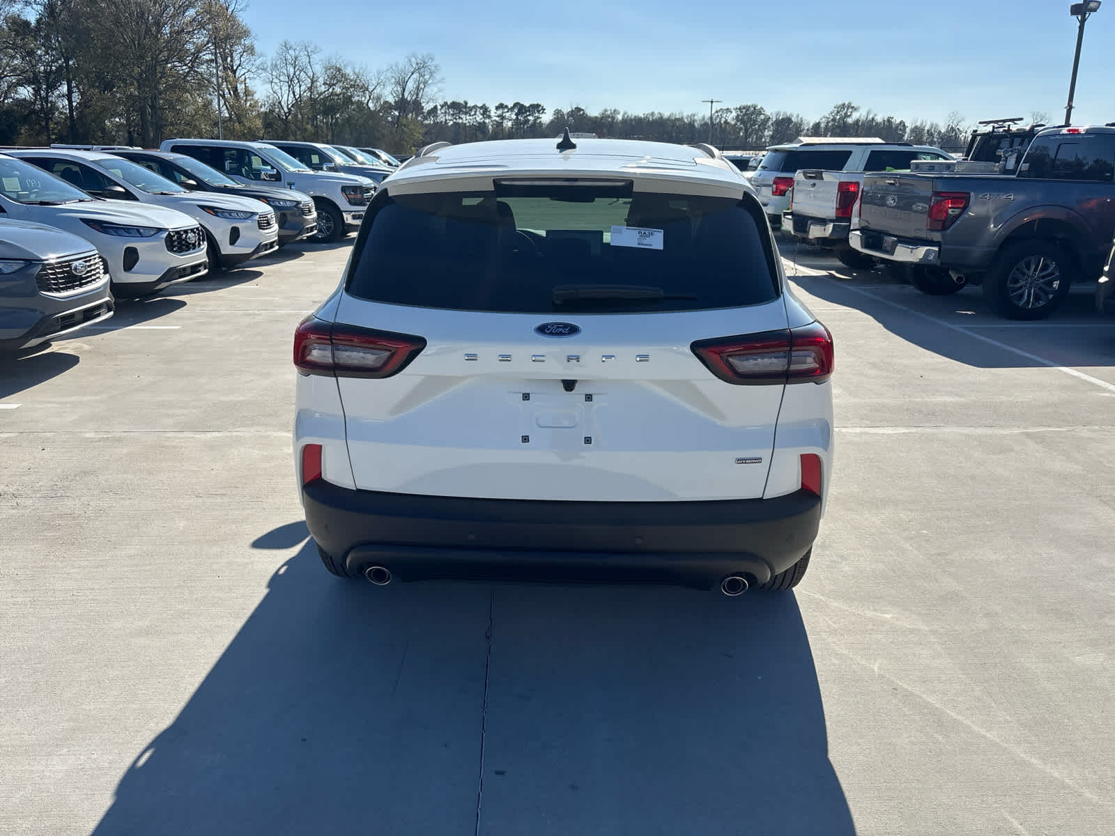 2025 Ford Escape ST-Line photo 6
