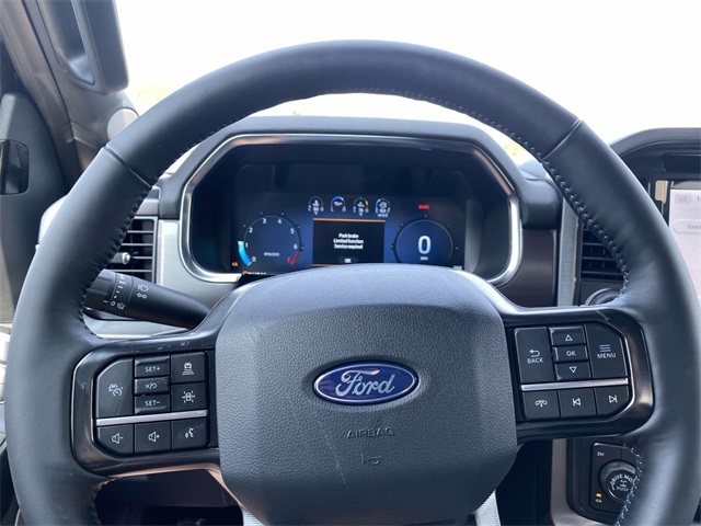 2025 Ford F-150 Platinum photo 15
