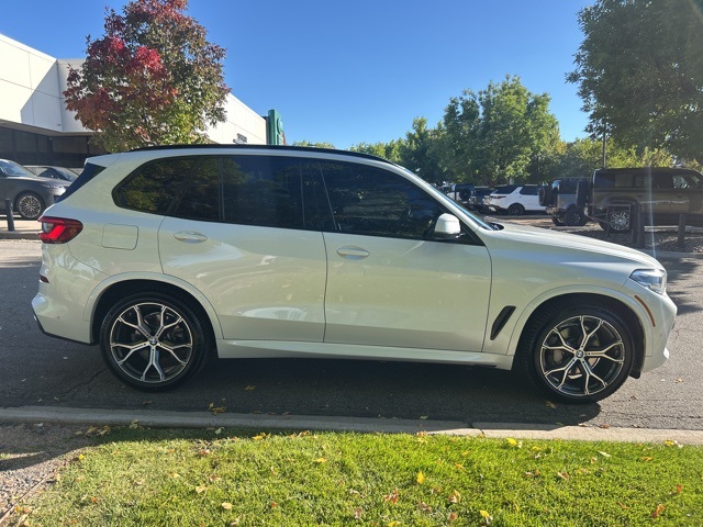 2019 Bmw X5 xDrive40i photo 9