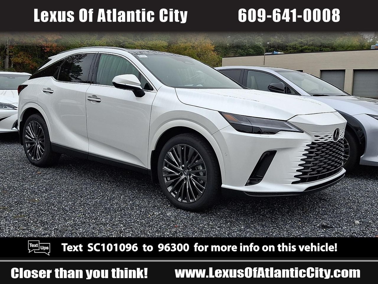 2025 Lexus RX Hybrid 350h's photo