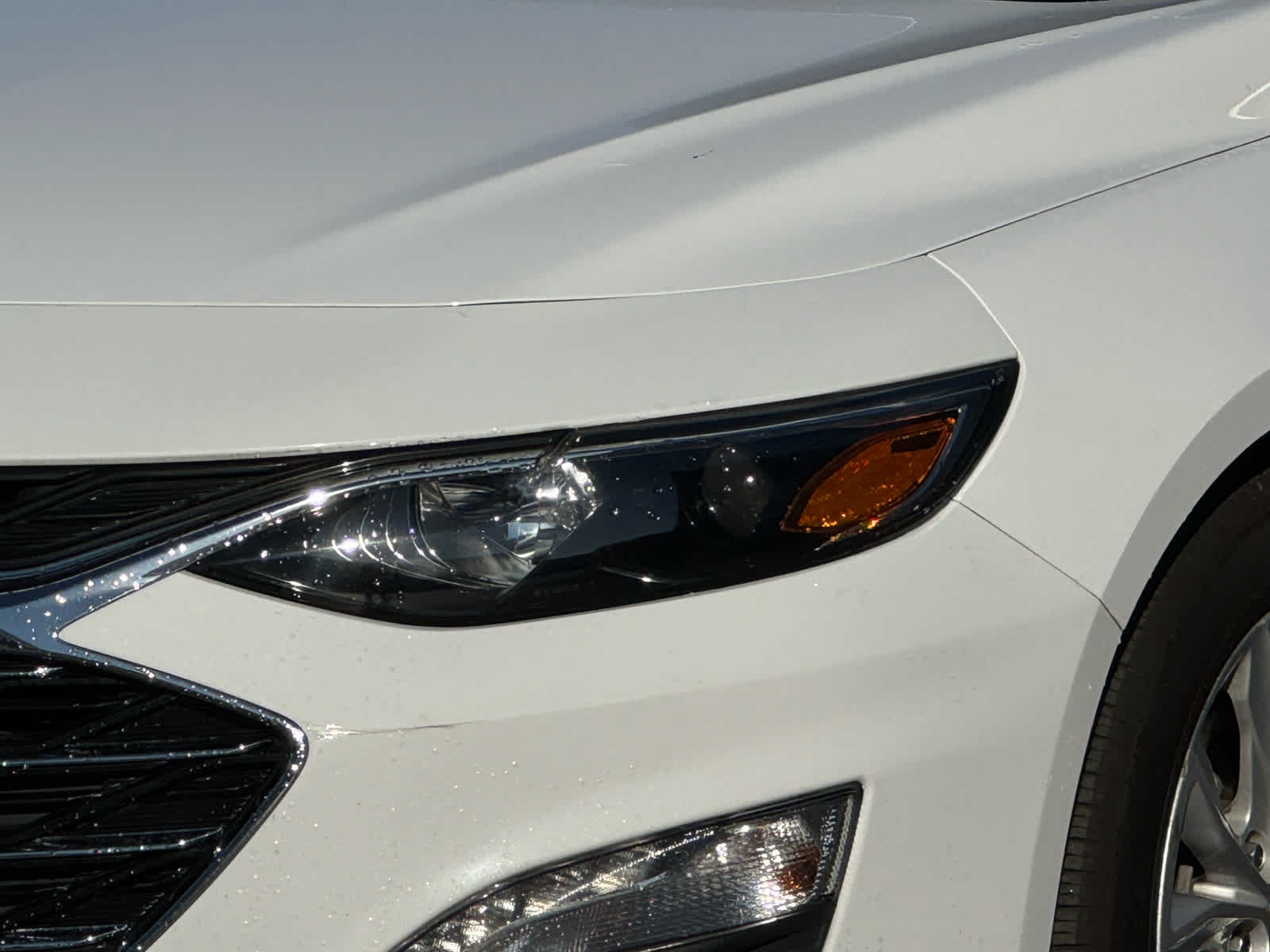 2023 Chevrolet Malibu 1LT photo 4