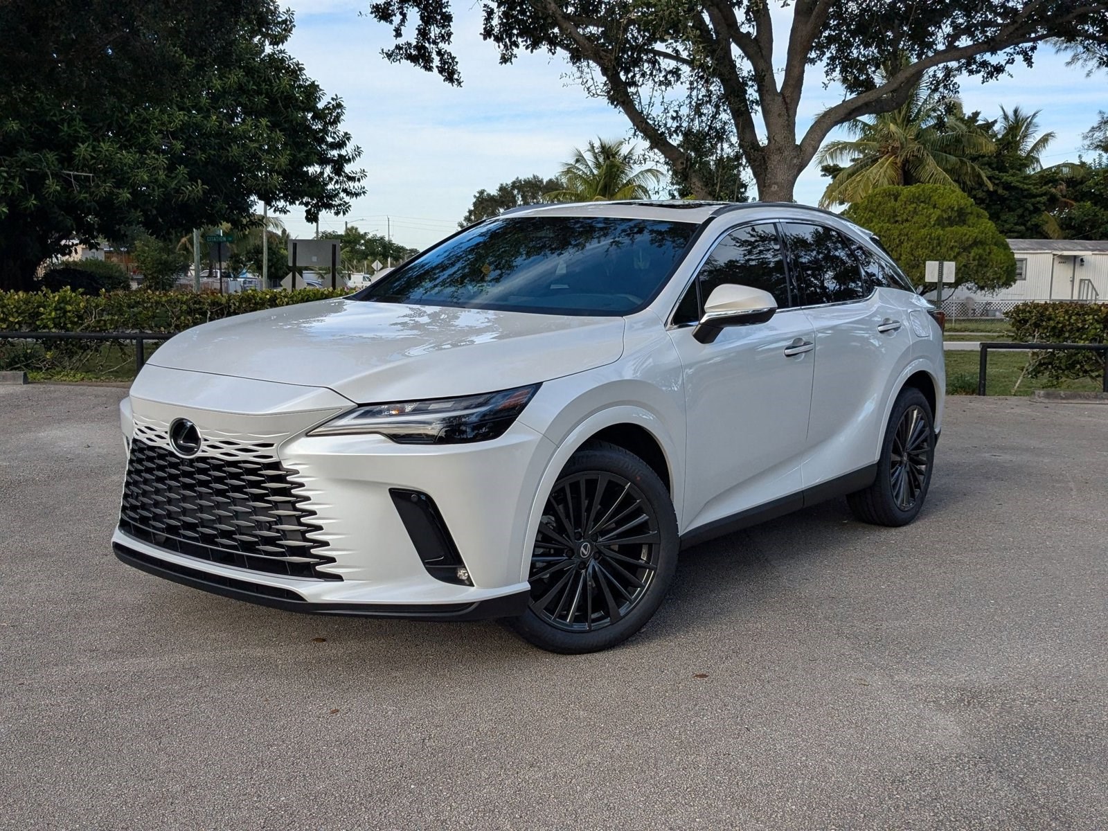 2026 Lexus RX Hybrid 350h's photo