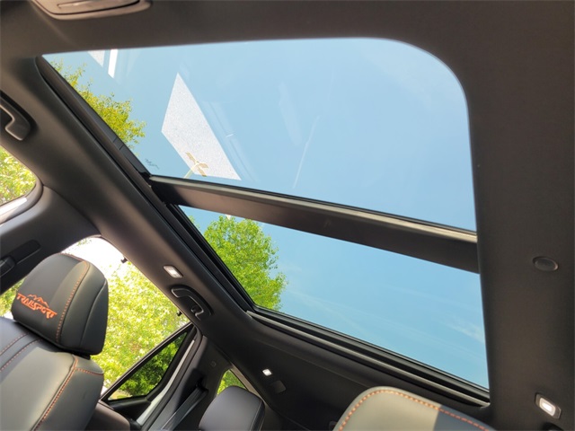 2025 Honda Pilot TrailSport photo 3