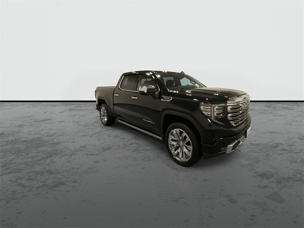 2023 Gmc Sierra 1500 Denali photo 2