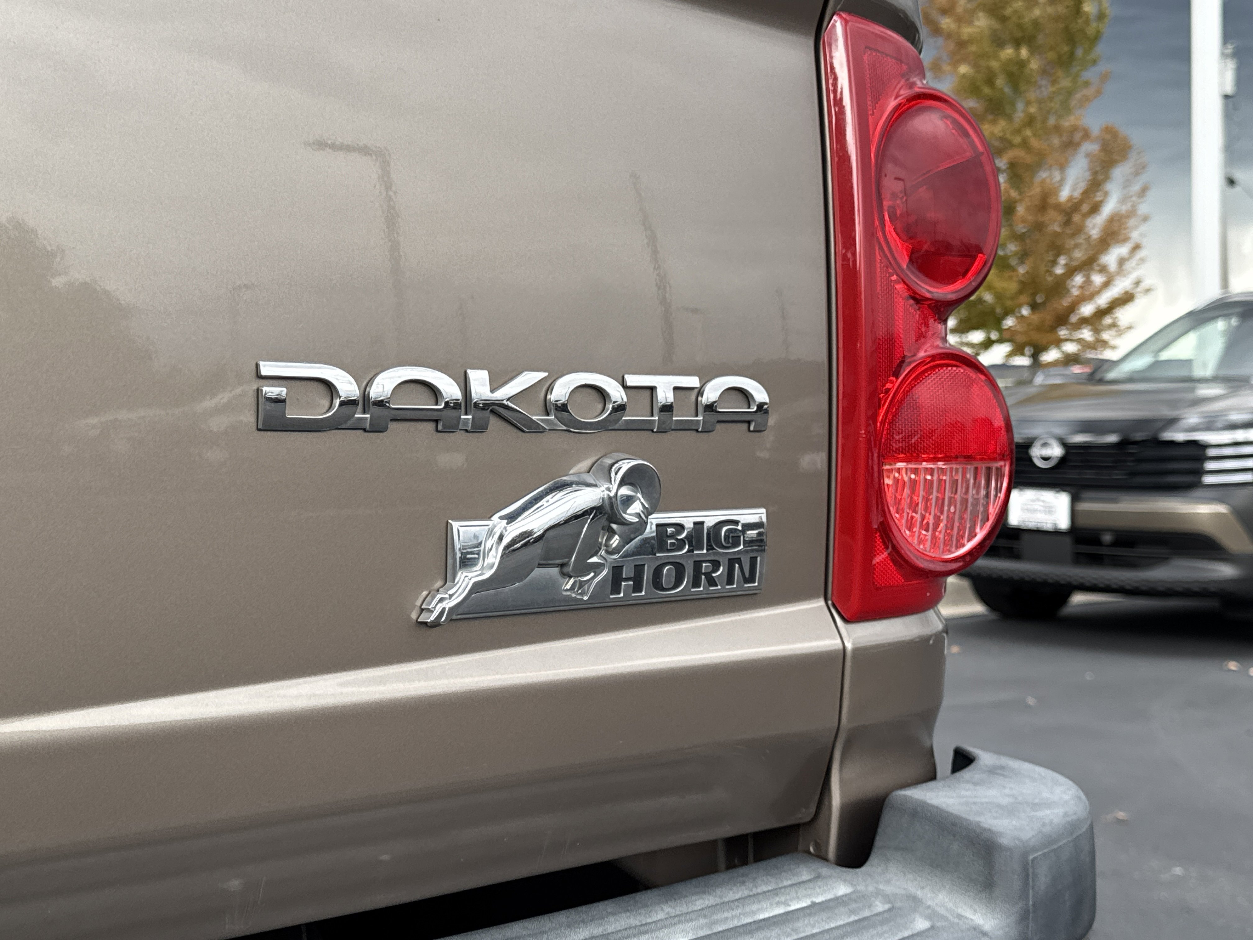 2010 Dodge Dakota SXT photo 2