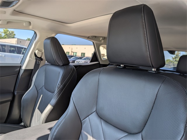 2024 Lexus NX 450h+ Luxury photo 10