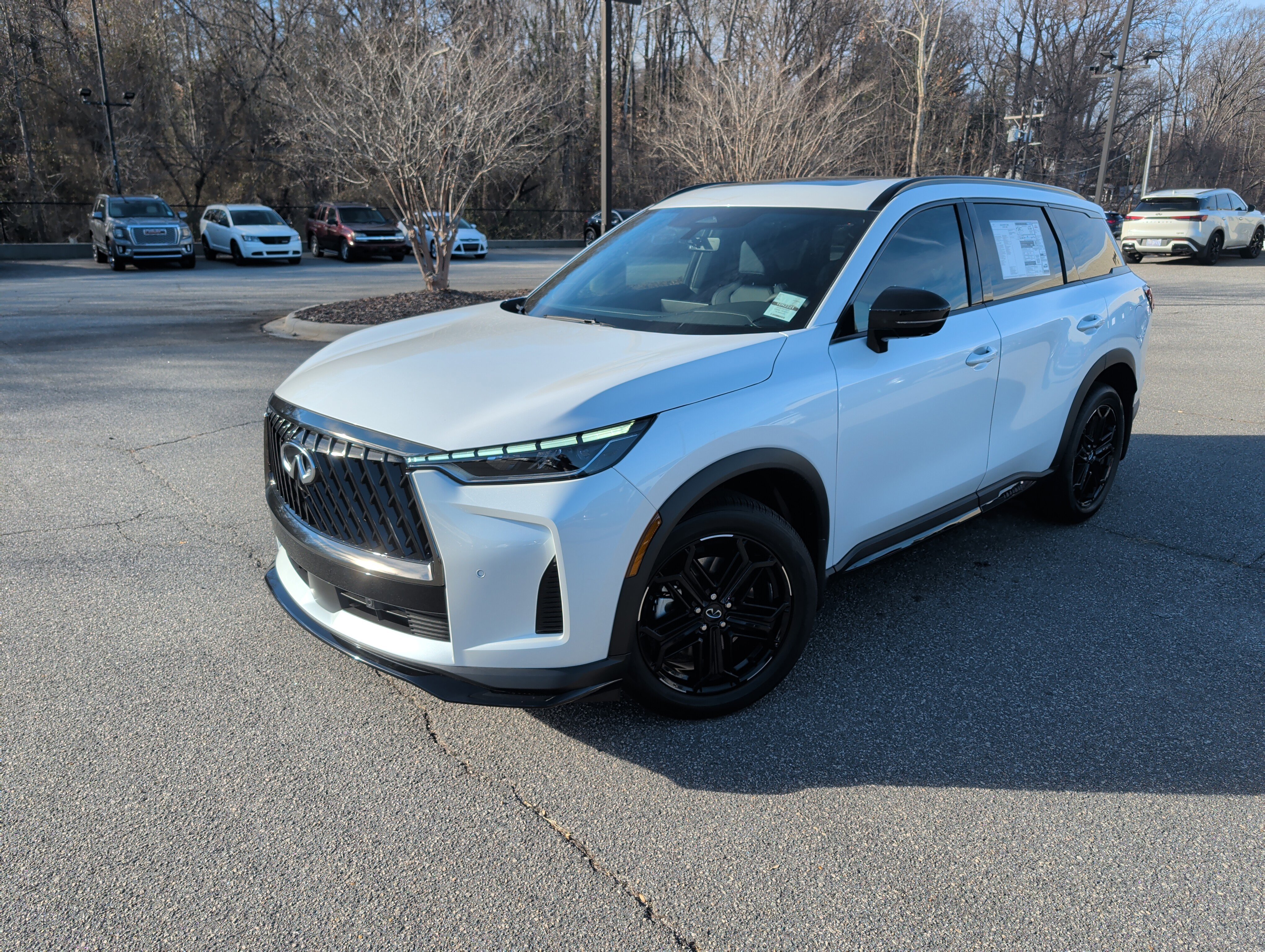 2026 INFINITI QX60 LUXE's photo