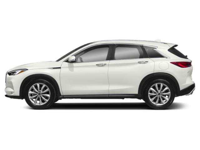 2019 Infiniti QX50 Essential photo 3