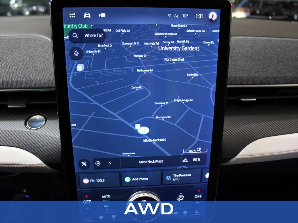 2021 Ford Mustang Mach-E Premium photo 2