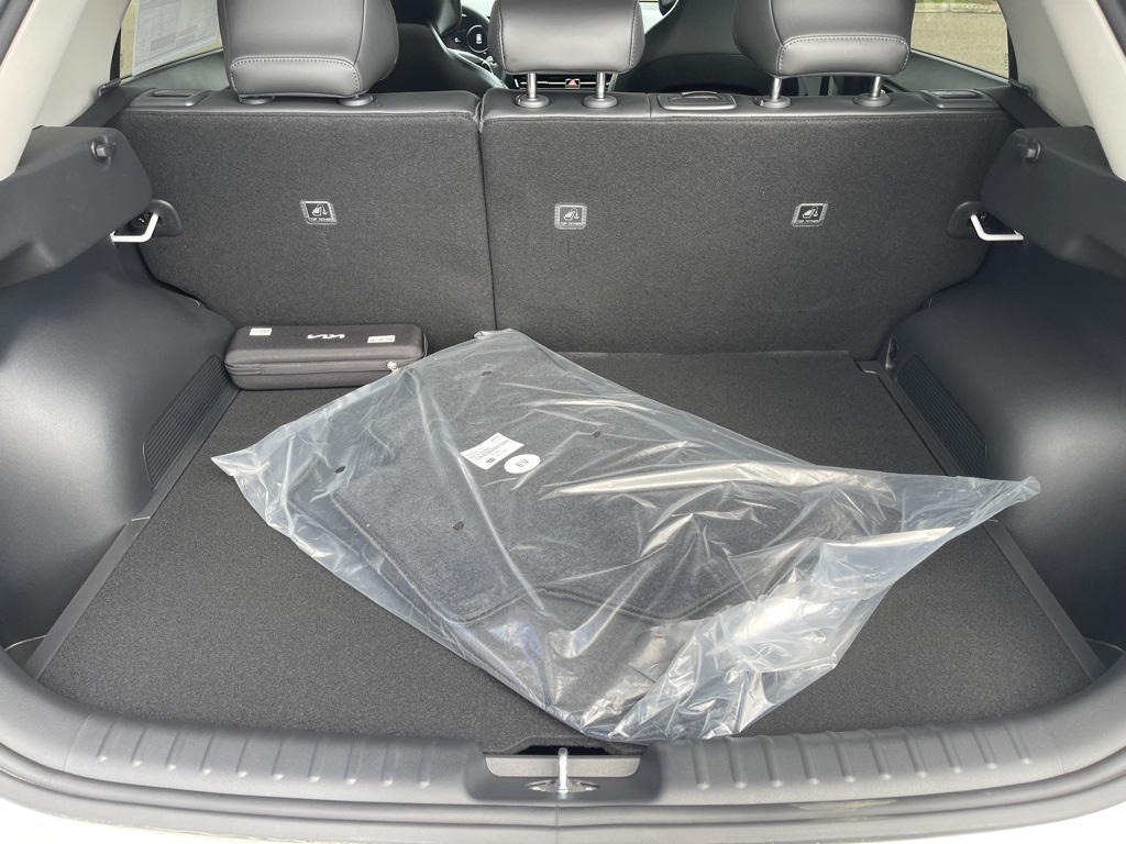 2024 Kia Niro EV Wave photo 6