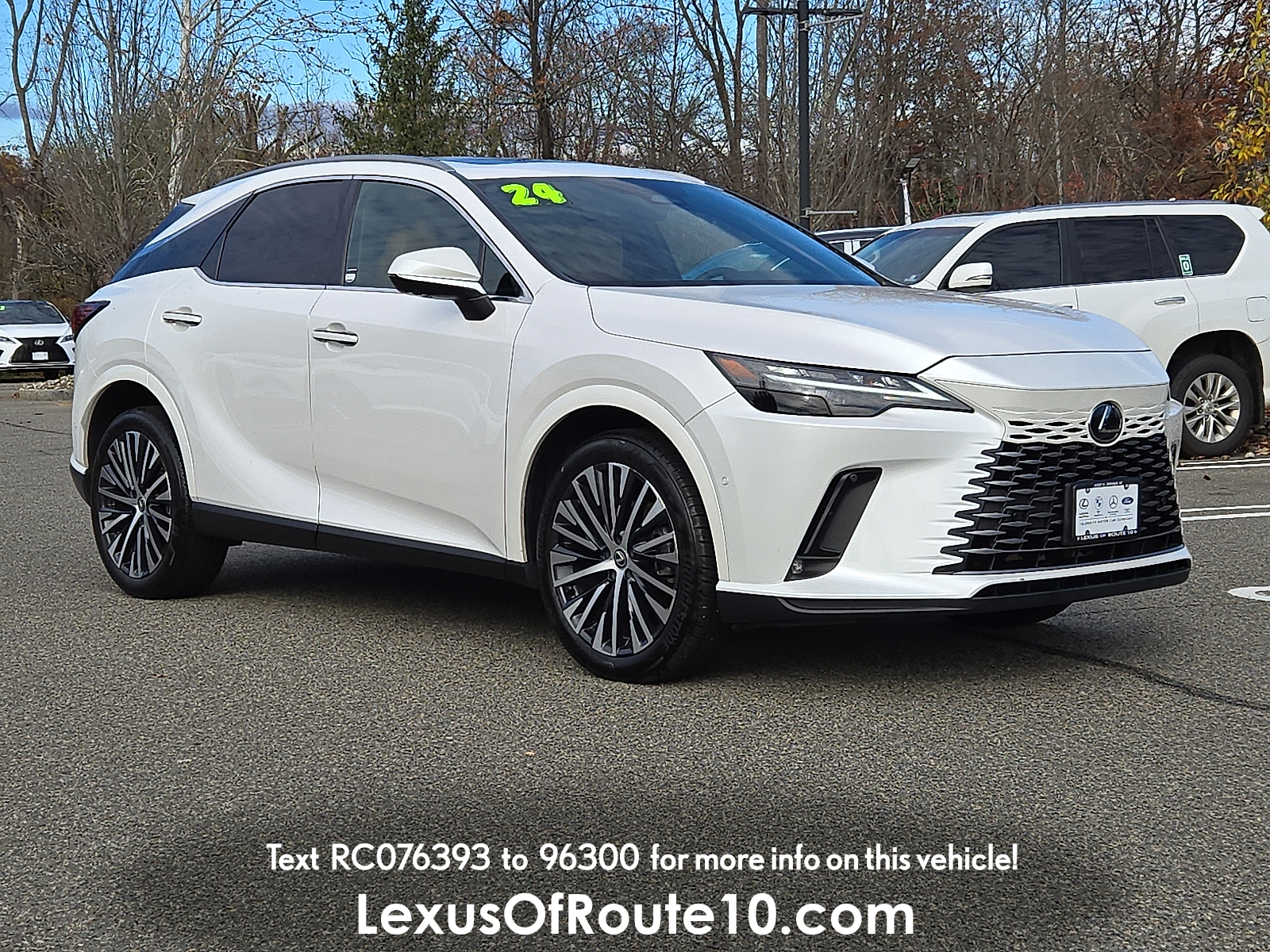 2024 Lexus RX 350's photo