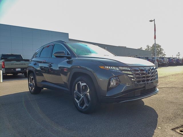 2024 Hyundai Tucson Plug-in Hybrid Limited photo 3